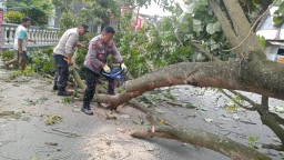 Polisi Cepat Tanggap, Akses Jalan di Kandat Kediri Kembali Normal