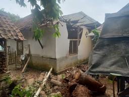 Akibat Angin Kencang, Rumah Wahab Rusak Tertimpa Pohon Aren 