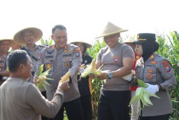 Polres Blitar Panen Jagung Manfaatkan Lahan Tidur Dukung Ketahanan Pangan