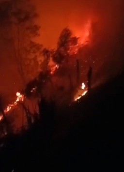 Kebakaran di Savana Bromo, Tidak Mengganggu Aktifitas Wisatawan