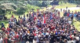 Surat Mogok kerja Aksi Damai di Kantor Besar Ledo Lestari, Berujung Demo Penutupan Operasional Perusahaan