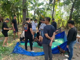 Polres Situbondo Bubarkan Sabung Ayam Amankan 2 Tersangka  