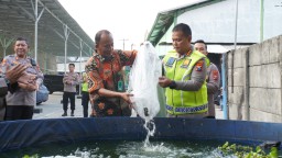 Dukung Ketahanan Pangan, Kapolresta Sidoarjo Tebar 5.000 Benih Ikan Lele 
