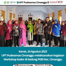 Dinkes Pandeglang Gelar Workshop Kader Posyandu di Kecamatan Cimanggu dan Sumur