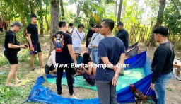 Polres Situbondo Grebek Arena Judi Sabung Ayam Amankan 2 Tersangka