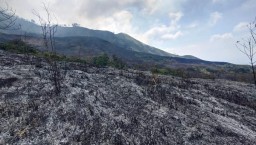 Kebakaran Hutan di Gunung Arjuno dan Welirang, Berimbas Penutupan Empat Jalur Pendakian