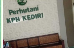 Diduga Galian C Telah Rugikan Negara Perhutani Kediri Tidak Mau Beresiko Lemparkan Masalah PPKH ke Dinas Kehutanan
