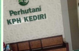 Terkait PPKH Ijin Tambang Perhutani Kediri Terkesan Tertutup Hindari Wartawan Yang Mau Konfirmasi