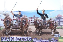 Polres Jembrana Turut Mensukseskan Lomba Mekepung Jembrana Cup 2023 di Sirkuit All In One Pengambengan