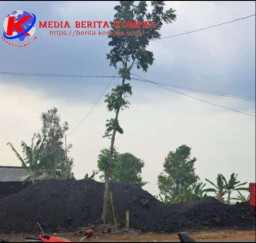 DPW Badak Banten Provinsi Banten Tegaskan Pemprov dan APH Tutup Tambang dan Galian C Ilegal