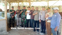 Babinsa Kademangan Dampingi Danramil 01 Bondowoso Hadiri Penyaluran Bantuan Sapi di Kelurahan Kademangan