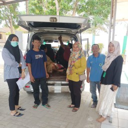 Pelayanan Rujukan Gratis Emergency Kebidanan Puskesmas Cimanggu