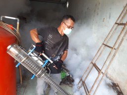 Akibat DBD di Sanggau ,6 Meninggal Ratusan Orang Dirawat 
