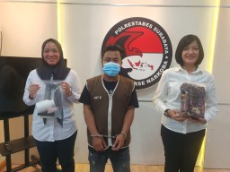 Warga Sidoarjo Pengedar Barang Haram Diamankan Satnarkoba Polrestabes Surabaya