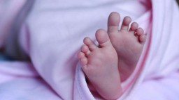 Pemkab Kayong Utara Diduga Lakukan Pembiaran ,Puskesdes Kosong Tanpa Penghuni,Seorang Bayi Baru Lahir Meninggal Dunia