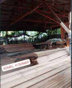 Diduga Peredaran Kayu Ilegal di Salurkan Oleh Oknum Anggota, Serta di Lestarikan Oleh APH Ketapang