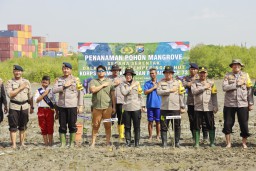 HUT Korp Brimob ke - 78 dan Polairud ke - 73, Kapolres Pelabuhan Tanjung Perak Tanam Mangrove di Pesisir Wisata Sontoh Laut Surabaya