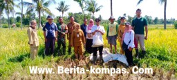 Wujudkan Hanpangan, Babinsa Nangkaan Koramil 0822/01 Bondowoso Dampingi Petani di Wilayah Binaan