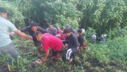 Kecelakaan di Jalan Raya Rajekwesi, Kabupaten Malang, Pickup Terjun ke Jurang, Tujuh Orang Luka Ringan