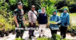 Tingkatkan Ketahanan Pangan, Babinsa 01 Bondowoso Lakukan Pendampingan GAS TANCAP di Kelurahan Badean
