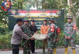 Kodim 1619/Tabanan Gelar Karya Bakti TNI, Infrastruktur Pedesaan Bali Dipercepat Demi Kesejahteraan Masyarakat