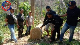 Razia Malam Ungkap Kejahatan Tersembunyi, Pembalakan Liar Menggemparkan Sumbermanjingwetan