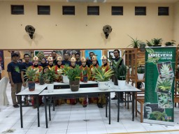 Komunitas Eksotik Sansevieria Sampang Gelar Pameran, Banyak Manfaat Dari Tanaman Sansevera