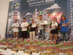 Eksotik Sansevera Sampang Mendapat Juara 3 di Kontes Sansevieria Nasional Sidoarjo 2024