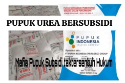 Sungguh Ironis Negeri ini Kios Pupuk Subsidi Ketua Gapoktan Mengambil Keuntungan Diatas Penderitaan Petani