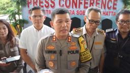 Penyelundupan Benih Lobster Senilai Rp 4,9 Miliar Digagalkan Polisi Bandara Soetta