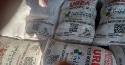 Sungguh Ironis Kios Pupuk Subsidi Ketua Gapoktan Inisial (U) Mengambil Keuntungan Diatas Penderitaan Petani