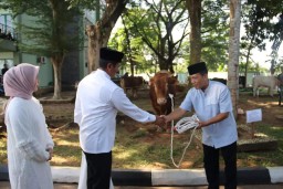 Peringati Hari Raya Idul Adha 1445 H/2024 M, Pangdam XII/Tpr Serahkan Puluhan Hewan Qurban