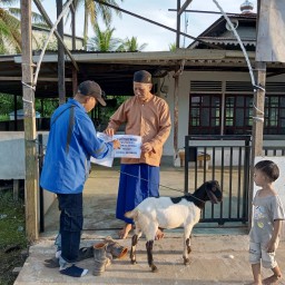 PT Mayawana Persada Salurkan Bantuan Hewan Qurban