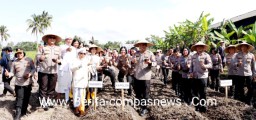 Kapolda Bali di Dampingi Kapolres Klungkung dan PNPP Wanita Polda Bali Tanam Pohon Sorgum