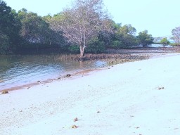 Keindahan Wisata Pantai Pasir Putih di Desa Batioh Banyuates, Perhatian Khusus Pemerintah Dinas Pariwisata Kabupaten Sampang