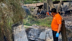 Kebakaran Sebuah Kandang Ayam Kosong, Seorang Petani Ditemukan Meninggal 