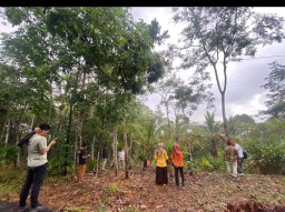Rencana Pembangunan Pustu Desa Ciburial Kecamatan Cimanggu