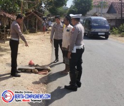 Terjadi Laka Lantas, Mobil Polisi Menabrak Pejalan Kaki Hingga Meninggal Dunia