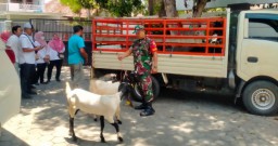 Bersama Banbinsa, Danramil 0822/01 Bondowoso Dampingi Serah Terima Bantuan Ternak Kambing di Kademangan
