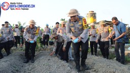Dukung Ketahanan Pangan Nasional Kapolresta Denpasar Pimpin Penanaman Bibit Hortikultura