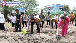Mendukung Program Ketahanan Pangan Nasional, Kapolres Bangkalan Tanam Jagung Bersama Forkopimda
