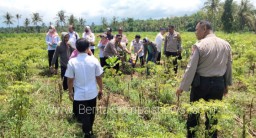 Dukung Ketahanan Pangan Nasional, Polsek Grujugan Tanam Bibit Jagung