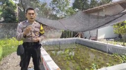 Polsek Lengkong Wujudkan Ketahanan Pangan Dengan Kolam Belut dan Mina Padi