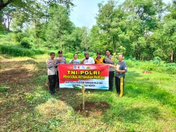Polsek Loceret Bersama Perkawis Gelar Penanaman Pohon Pisang di Desa Ngepeh Untuk Dukung Ketahanan Pangan