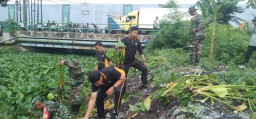 Cegah Banjir Polisi Bersama TNI Bersihkan Sampah dan Enceng Gondok di Sungai Gebang Sidoarjo