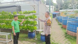 Peninjauan dan pembinaan Poktan Ketahanan Pangan Polsek Ciracas