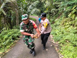 Antisipasi Bahaya Longsor Polres Karangasem Pasang Police Line di Desa Jungutan