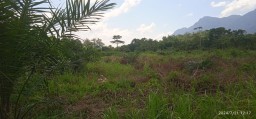 Kelompok Tani HARAPAN BARU,Desak APH Dan Dinas Terkait proses Lahan Tani : Alih fungsi
