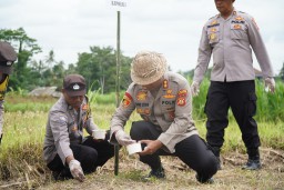Polres Klungkung Lakukan Penanaman Jagung Serentak Satu Juta Hektar Untuk Klungkung