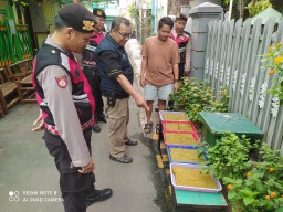 Polsek Matraman Tinjau Kebun Hidroponik Green Puspa Untuk Dukung Ketahanan Pangan.